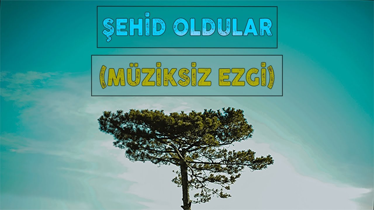 ŞEHİD OLDULAR (MÜZİKSİZ EZGİ)