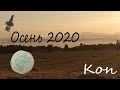 Осенний коп 2020.