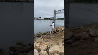 Cape cod canal striper action 2021
