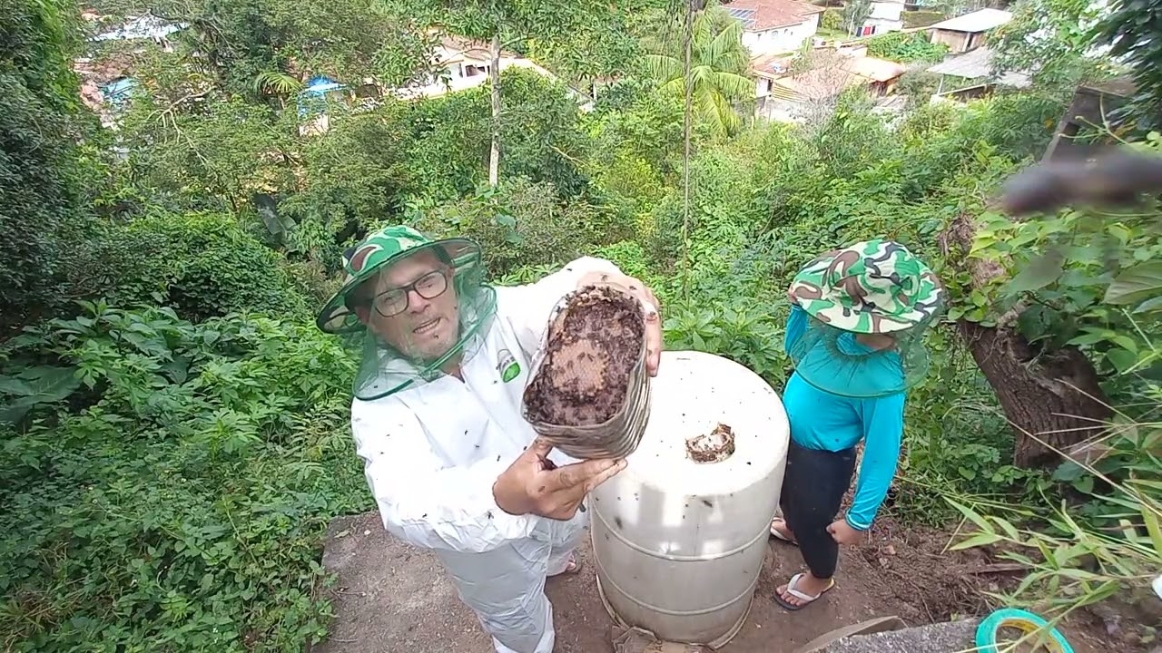 Tubuna 1 2 3 , terceira transferência .