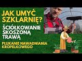 Jak umyć szklarnie, ściółkowanie grządek trawą, płukanie nawadniania kropelkowego. [Ogród #7]