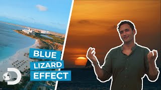 Chapter 3 Blue Lizard Effect – Air 🌬️🤍 | Aruba Tourism X Discovery Channel UK