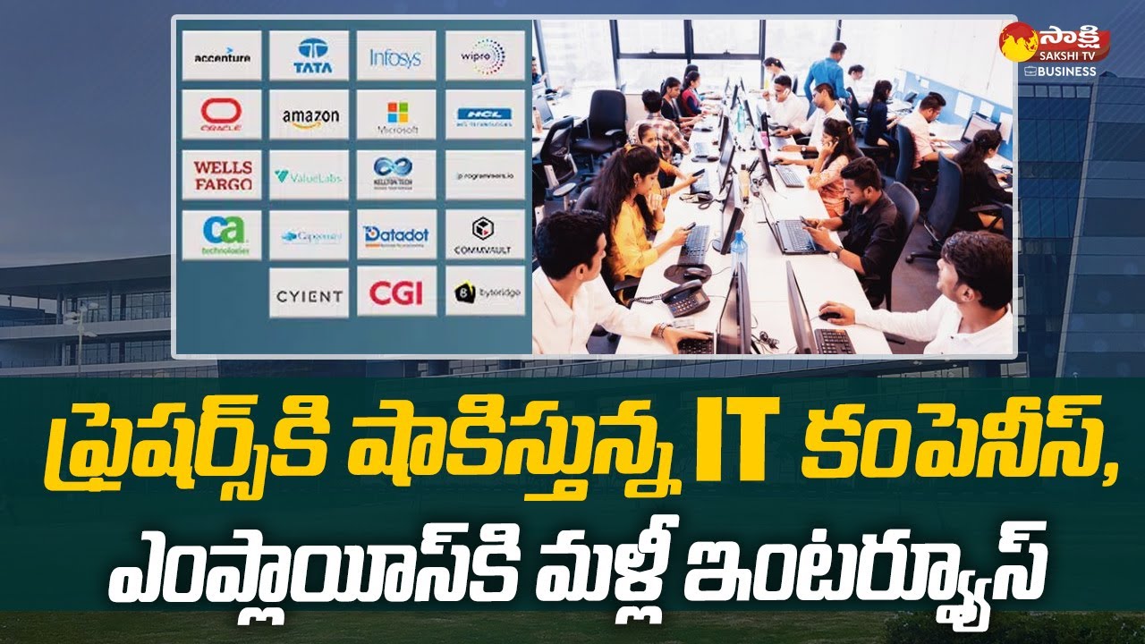 IT Companies Give Big Shock To Freshers | Sakshi TV Business