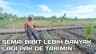 LAHAN PAKDE TARIMIN ASAL KAB,LAMONGAN SEBETULNYA PRODUKTIF TRANSMIGRASI KALIMANTAN UTARA