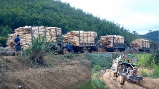 Challenging the Muddy Road: The Ultimate Handling of a Log Truck | Wood Truck