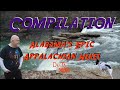 Delta Safari: Alabama's Epic Appalachian Hikes | Lookout Mountain | Mount Cheaha | Sipsey Wilderness