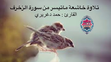 تلاوة روووووعة ❤ سورة الزخرف 🌾حمد دغريري