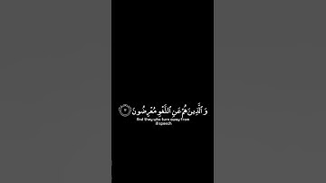كرومات قرآن كريم بصوت الشيخ #ماهر_المعيقلي | #سورة_المؤمنون ~ قد أفلح المؤمنون شاشة سوداء