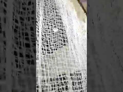 Pigeon Netting & Spikes Installation