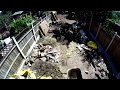 London Garden Landscaping, Time-Lapse - Little Acorns Landscapes