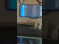 Samsung Galaxy A01/A015F/a01q : flashing PixelOS