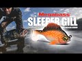 Megabass sleeper gill