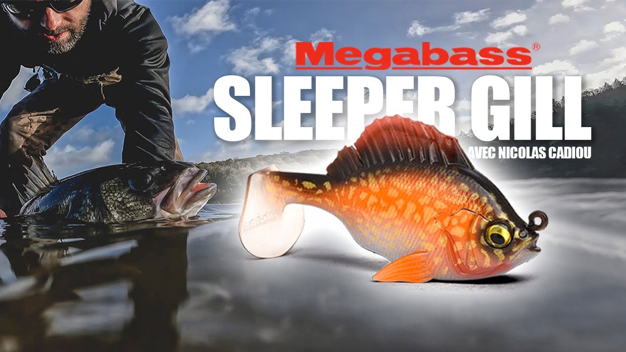 MEGABASS SLEEPER GILL 