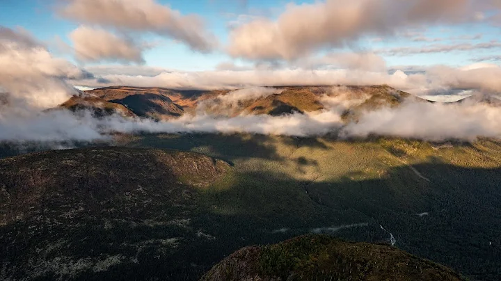 La précieuse mission des parcs nationaux