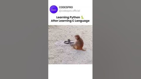 Learn python after learning C language 😂  #python #c #programming  #coding #development #memes