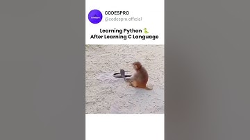 Learn python after learning C language 😂  #python #c #programming  #coding #development #memes