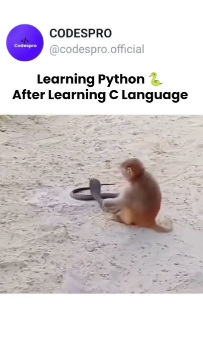 Learn python after learning C language 😂 #python #c #programming # ...