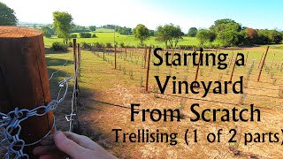 Starting a Vineyard from Scratch PART 4  Vineyard Trellising (End post, Main Trellis and Stakes)