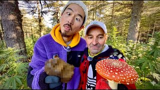 Si vous allez à Ketama maintenant… vous y trouverez les produits marocains de la plus haute qualité