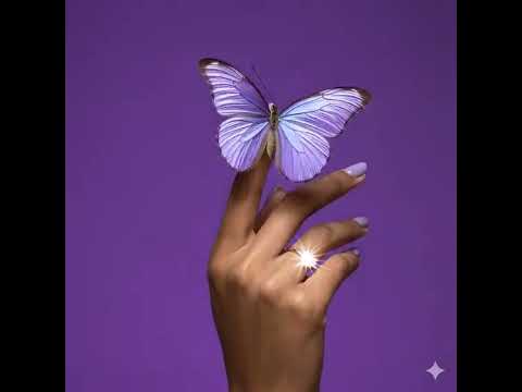 Test promo anello - -tsRiau7UI4