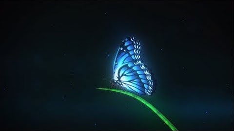Camtasia Intro Butterfly Project