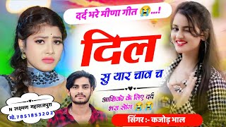 दिल सु यार चाव च । दर्द भरा मीणा गीत 2024 । Kajod Bhal New Meena Song 2024 । Kajod Bhal
