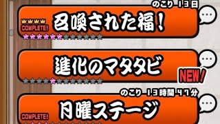 Catfruit Stage Revamp Update 15.2