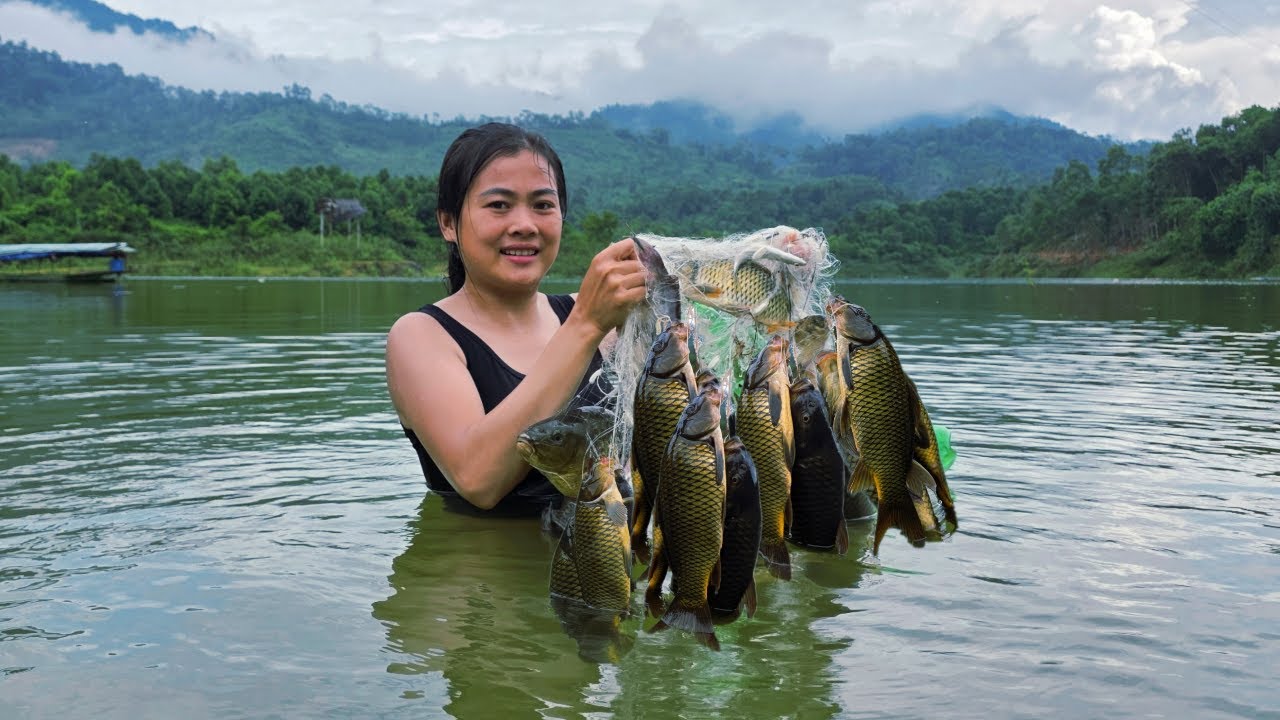 Traditional fish trapping techniques using homemade bait, catching 15kg of carp on a rainy day.