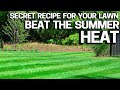 Protect your Lawn From Summer HEAT & Stress my Secret Recipe STAY GREEN with Sea Kelp