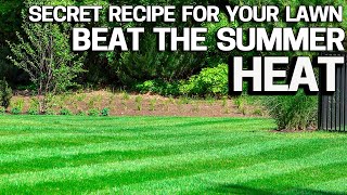 Protect your Lawn From Summer HEAT & Stress my Secret Recipe STAY GREEN with Sea Kelp