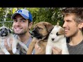 My Ex-Boyfriend Meets My Rescue Puppies!