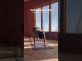 Tag a friend to try this with! 💛 Movement is medicine for me