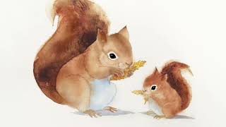 Squirrel Nutkin / Grey Squirrel