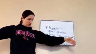 Saxon Math 5th Grade - Lesson 74 - Converting Units of Length Net Worth