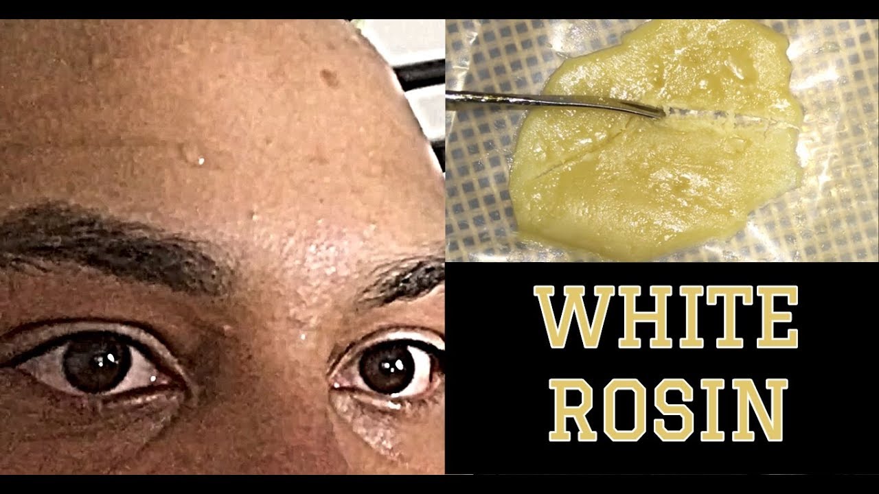 White Rosin!? - White Russian Strain Review -