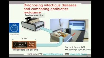 Wouter van der Wijngaart