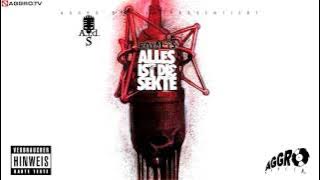 ROYAL TS (SIDO & B-TIGHT) BIN WAS ICH BIN - ALLES IST DIE SEKTE - ALBUM - TRACK 19