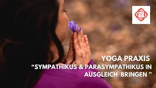 Yoga Praxis um Sympathikus & Parasympathikus in Ausgleich zu bringen