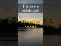 1分で分かる無意識の法則 なぜか応援される人の共通点 潜在意識 書き換え 自己啓発 #shorts
