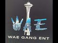 Wae Gang Ent-- Wae is the gang