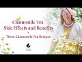 Chamomile tea side effects and benefits  three chamomile tea recipes