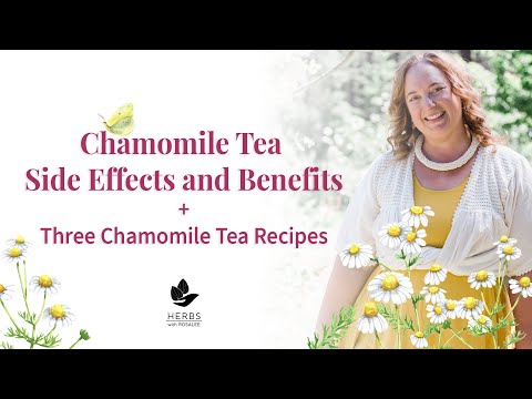 Wideo: Zastosowania herbaty rumiankowej w ogrodach - zalety stosowania herbaty rumiankowej dla roślin