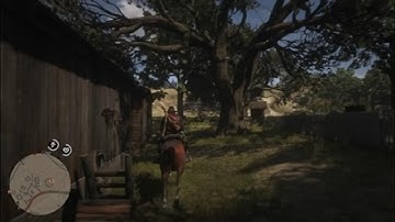 Red Dead Redemption 2 spray me with that stuff i got u hahaha