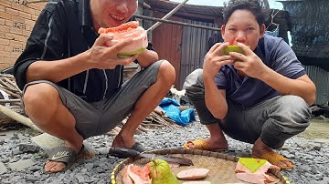 Cái Cảm Giác Lần Đầu Tiên Được Ăn Bưởi Ruby Ruột Đỏ Của Hai Em Nó Lạ Lắm @Hai Đặng Vlogs