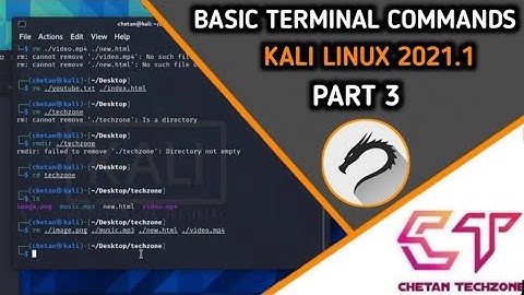 PART 3 | BASIC TERMINAL COMMANDS FOR KALI LINUX IN HINDI