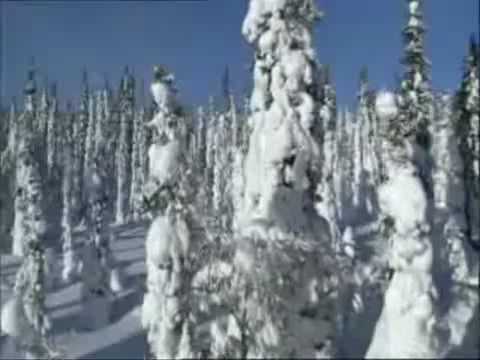 Watch ATMA - Red Alert on Planet Earth lyrics on YouTube Watch ATMA - Red Alert on Planet Earth lyrics on YouTube