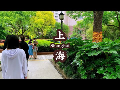 【台湾小姐姐的上海生活Shanghai Vlog】】隔离生活碎片l 全家承包了我的三餐 l 居家三餐日记