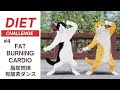 【夏に向けてダイエット!】 #4 脂肪燃焼有酸素ダンス