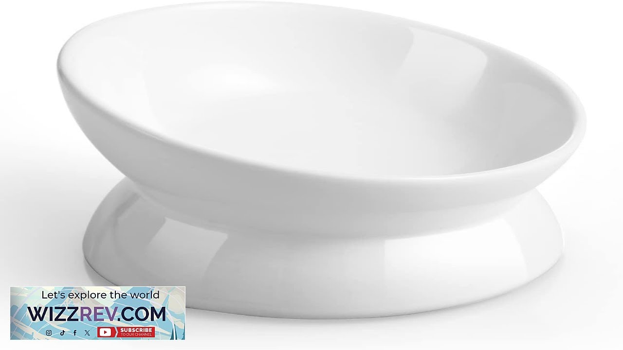 LoeJan Elevated Cat Food Bowl 5 Oz Ceramic Raised and Tilted Water