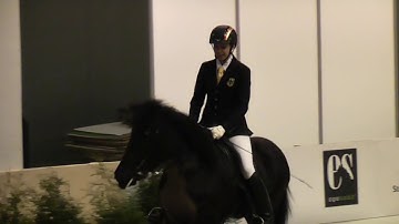 Óskadís vom Habichtswald, OD15V1